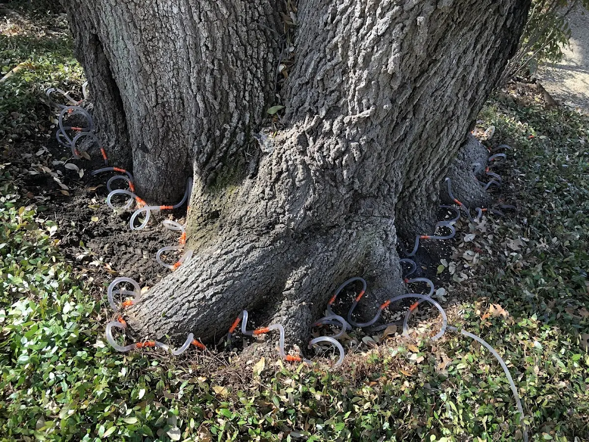 Detailed Shrub and Hedge Trimming job site in Hubbard